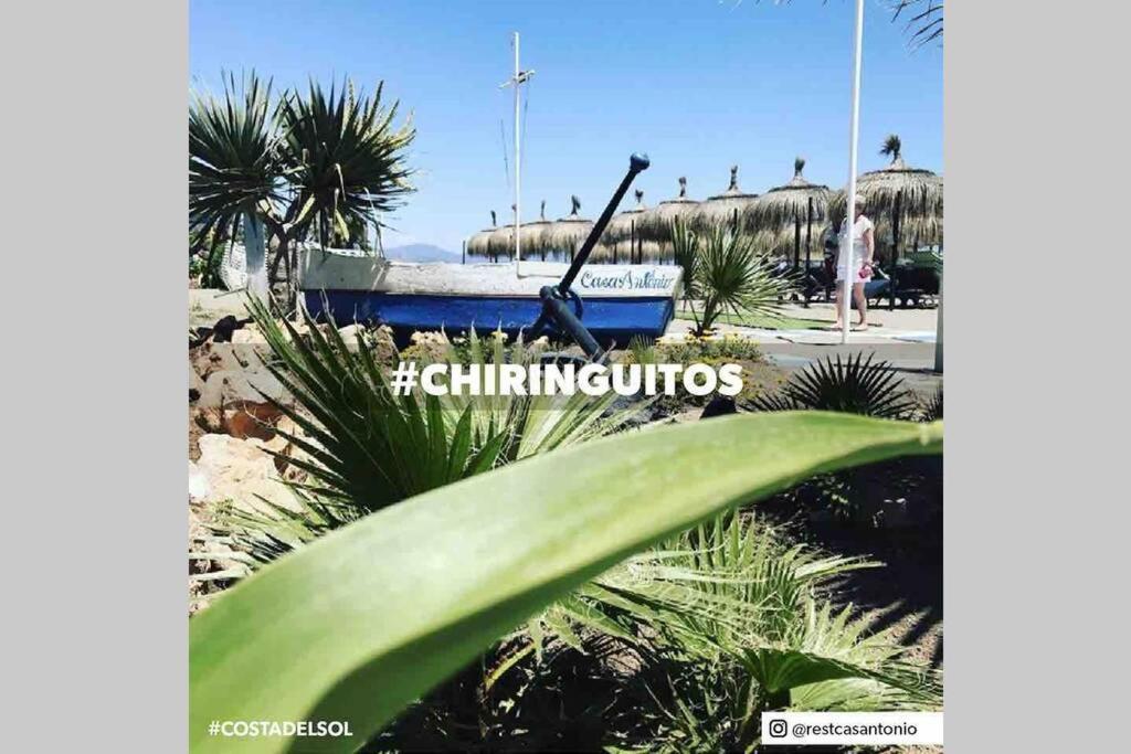 Begonia Studio 119 Torremolinos Exteriör bild