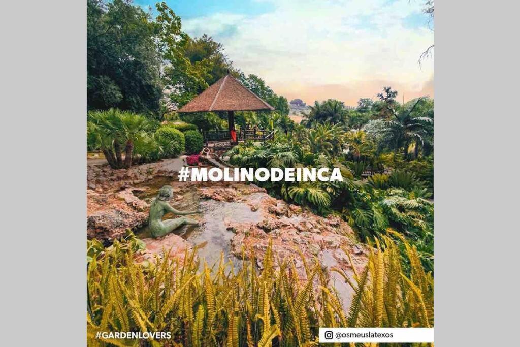 Begonia Studio 119 Torremolinos Exteriör bild